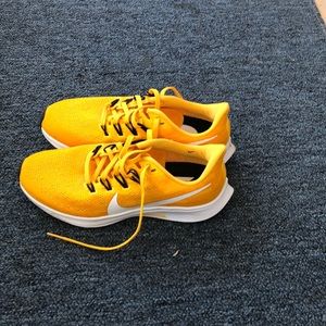 Nike Zoom Pegasus 36